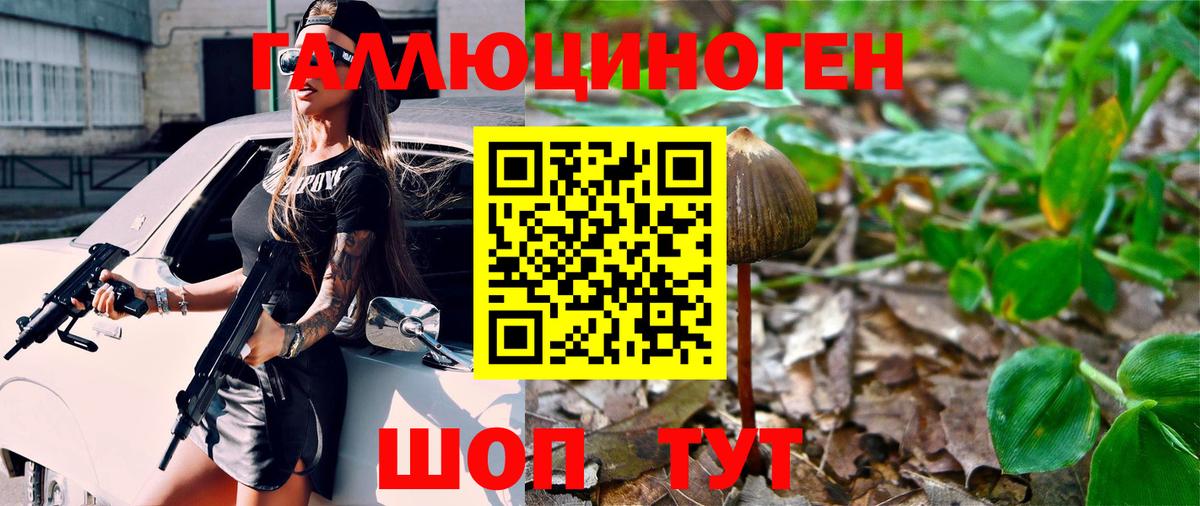 Псилоцибиновые грибы прущие грибы Заволжье