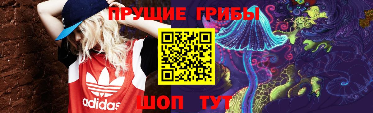 Заволжье  Псилоцибиновые грибы прущие грибы  Галлюциногенные грибы GOLDEN TEACHER  Вход с VPN 